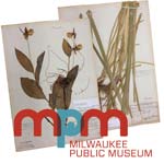 Richter Museum of Natural History